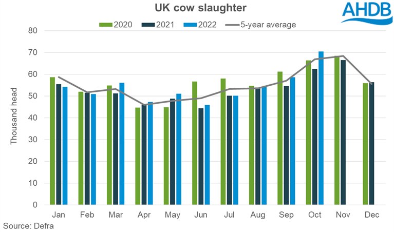 Graph showing monthly UK cow slaughter to Oct-22